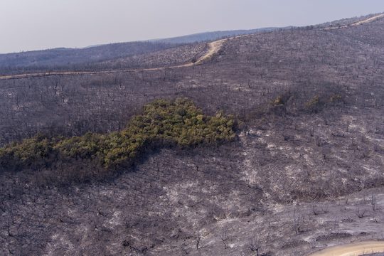 fotia alexandroupoli